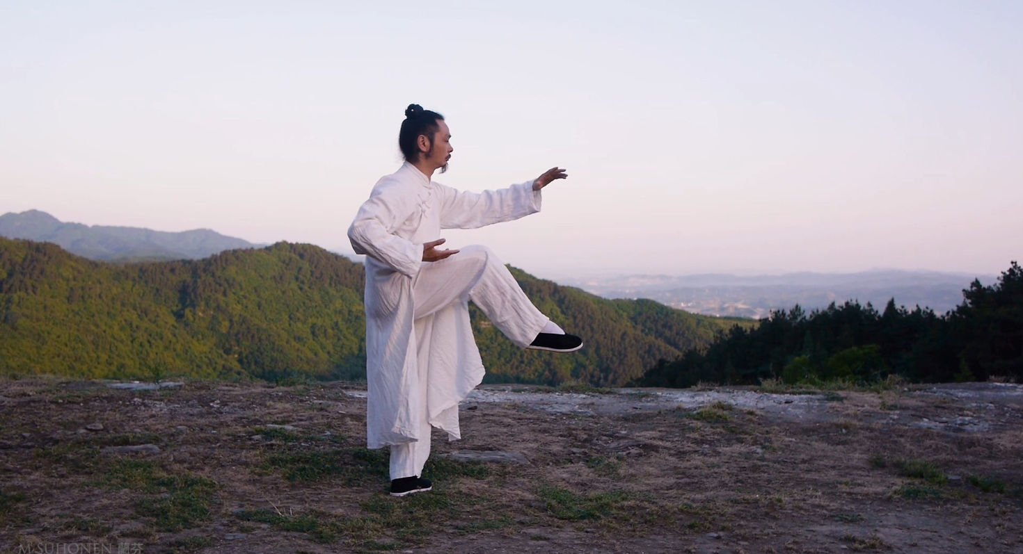 Wudang Tai Chi 13 form by Chen Shiyu